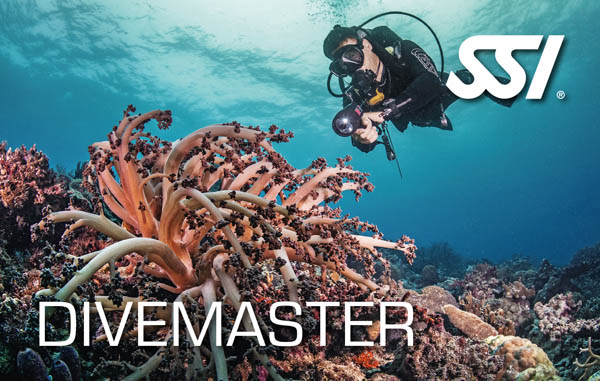 Diventa Divemaster e inizia a insegnare la subacquea anche a subacquei non certificati sotto la supervisione di un istruttore