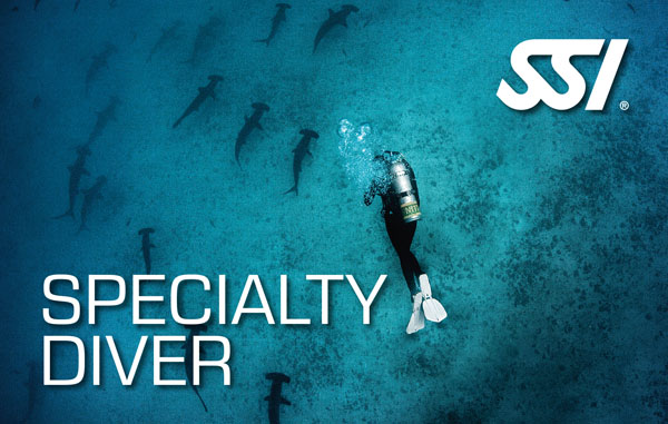 Livello avanzato: per raggiungere questo livello è necessario aver completato il livello due Specialty Diver, fare altre due specialità e aver effettuato almeno 24 immersioni